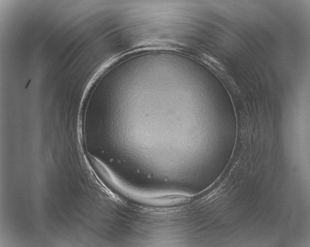 X0000056351188200509161754