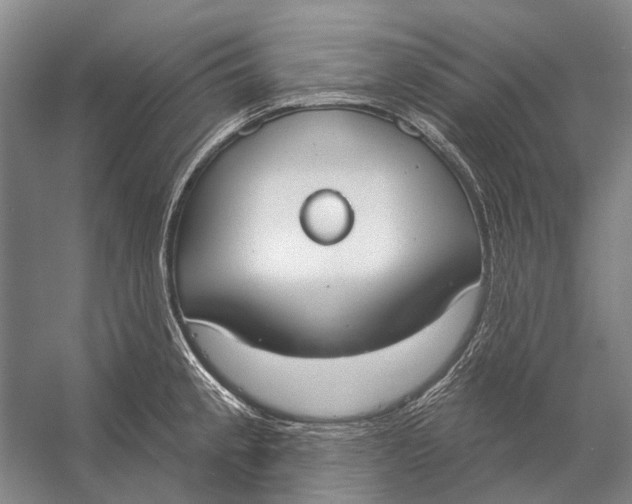 X0000056351189200509161754