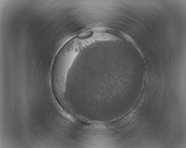 X0000056351194200509161754