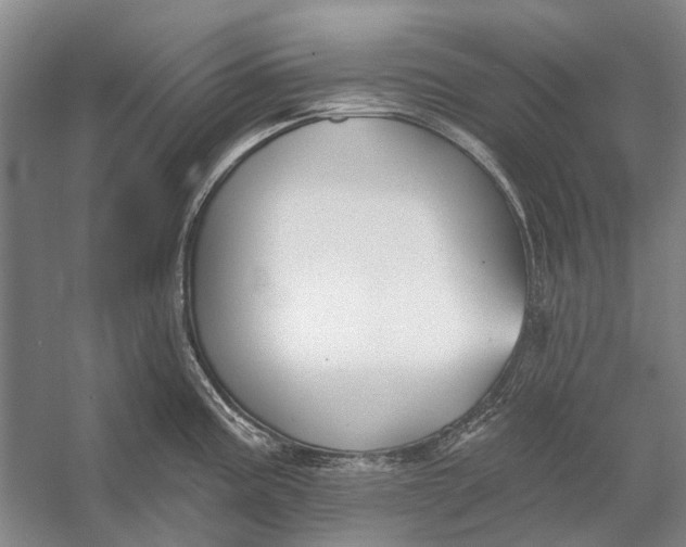 X0000056351195200509161754