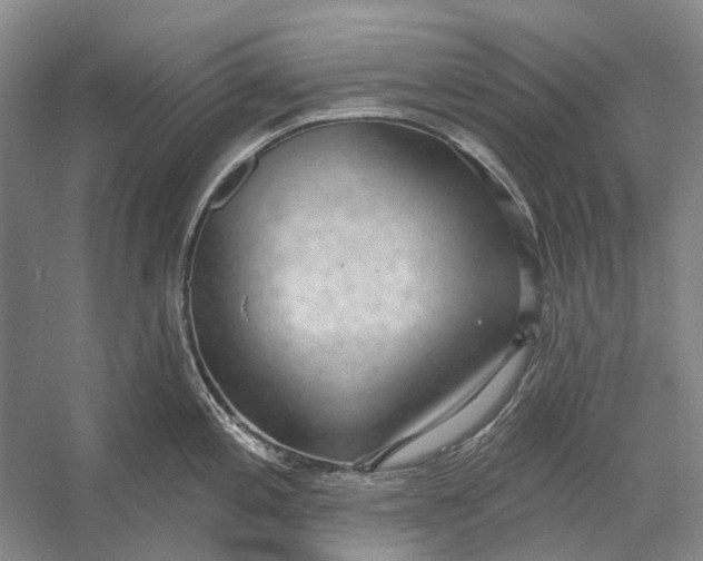 X0000056351197200509161754