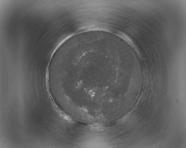 X0000056351198200509161754