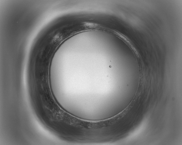 X0000056351199200509161754