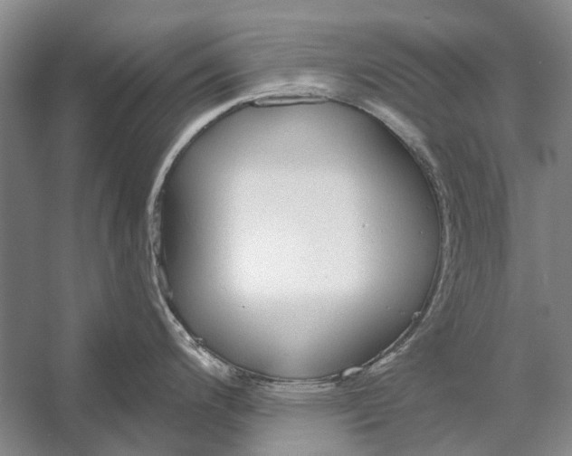 X0000056351200200509161754