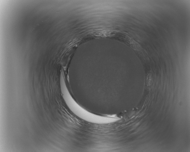 X0000056351202200509161753