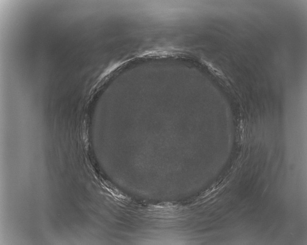 X0000056351206200509161753