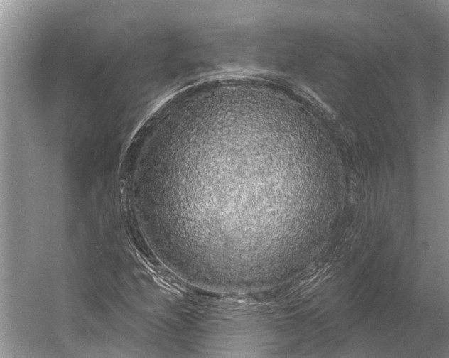 X0000056351208200509161753