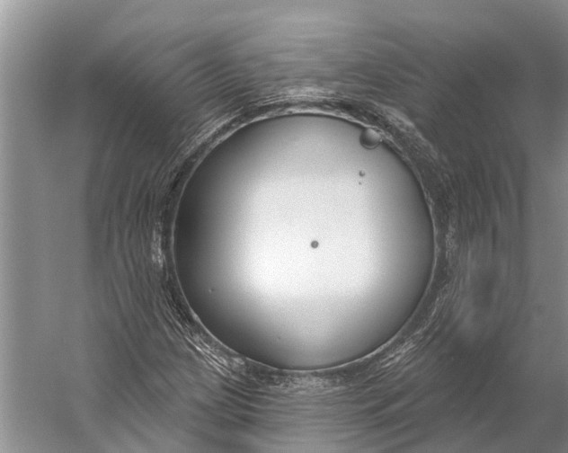 X0000056351209200509161753