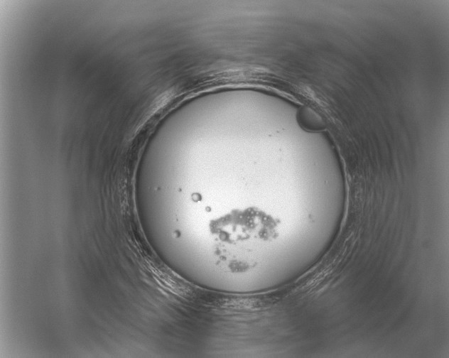 X0000056351211200509161753