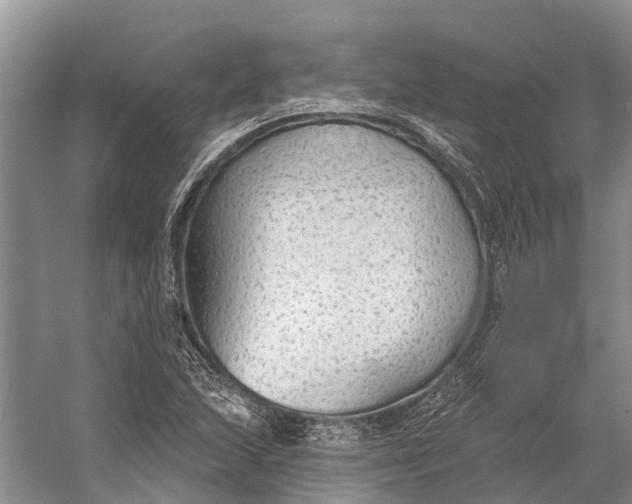 X0000056351215200509161753