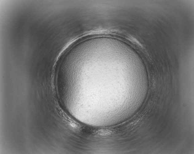 X0000056351216200509161753