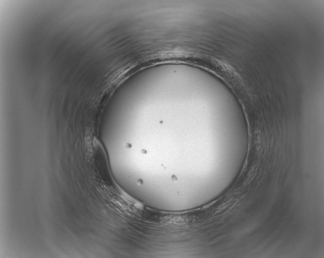 X0000056351217200509161753