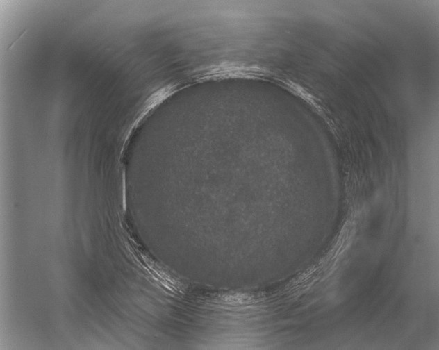 X0000056351219200509161753