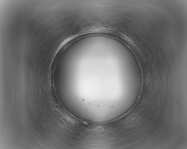 X0000056351222200509161753