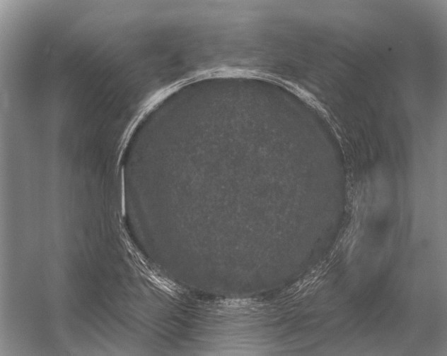 X0000056351223200509161753