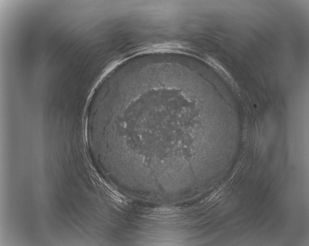 X0000056351224200509161753