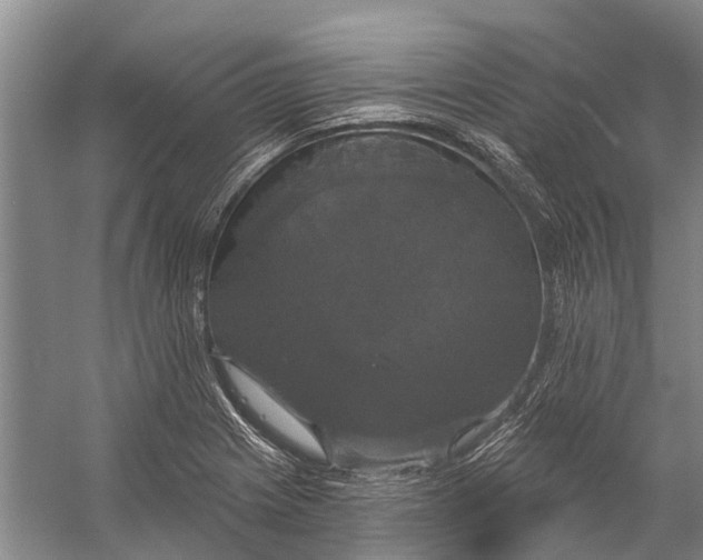 X0000056351225200509161753