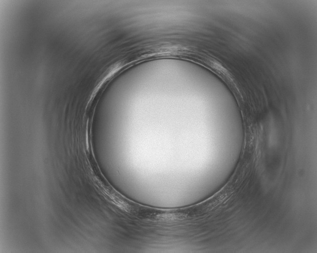 X0000056351227200509161753