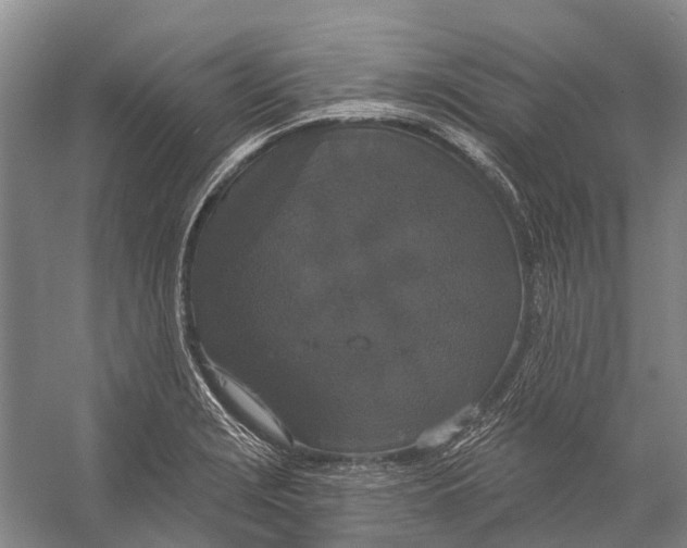 X0000056351229200509161753