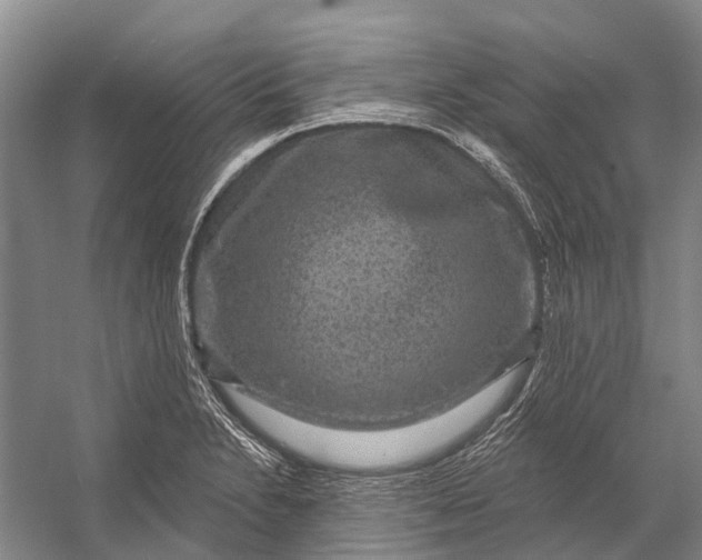 X0000056351230200509161753