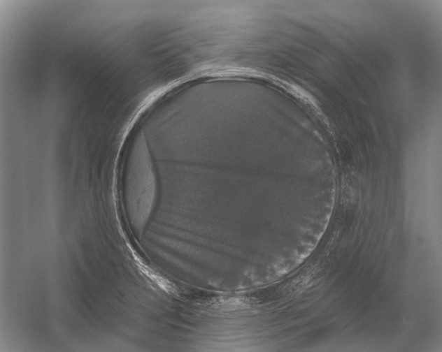 X0000056351231200509161753