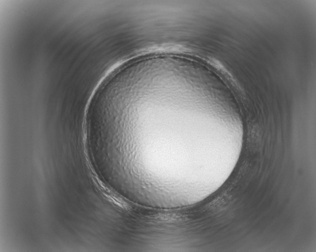 X0000056351232200509161753