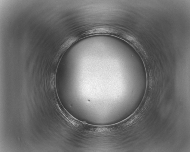 X0000056351233200509161753