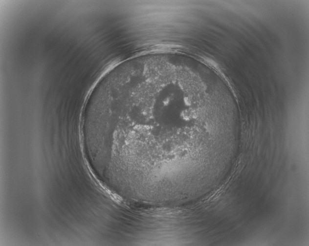 X0000056351235200509161753