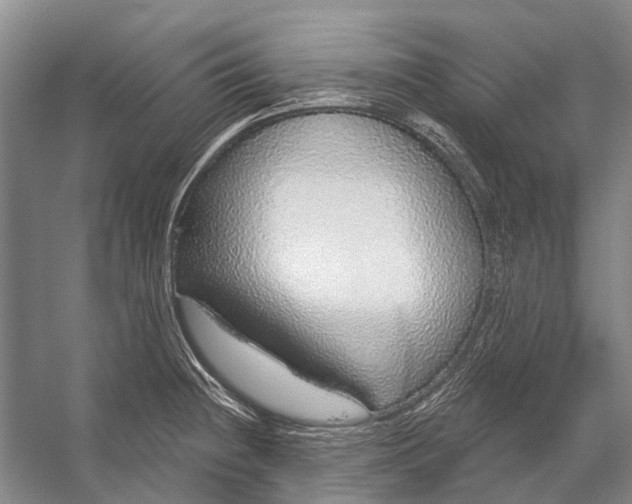 X0000056351236200509161753