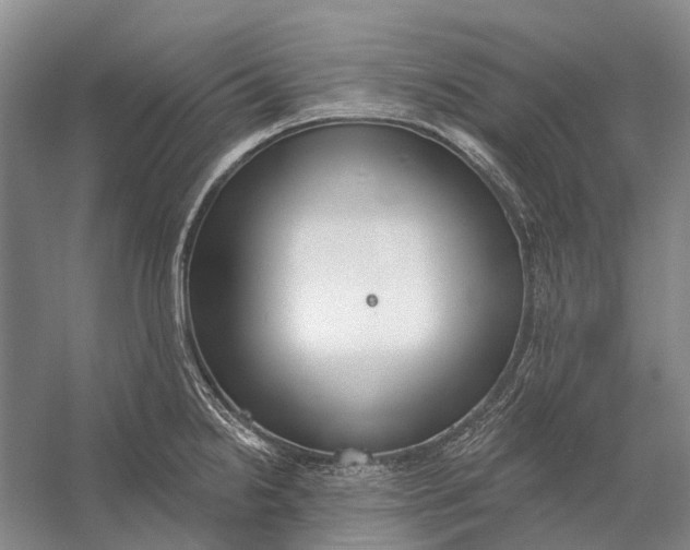 X0000056351238200509161753