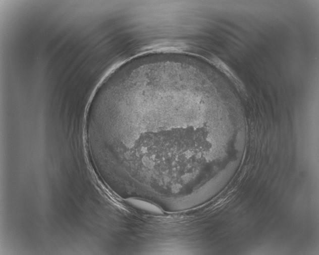 X0000056351240200509161753