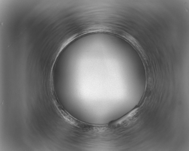 X0000056351242200509161753