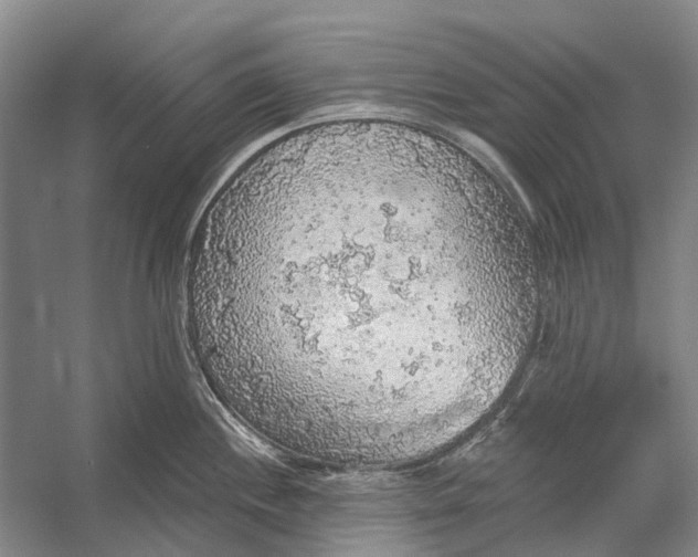 X0000056351244200509161753