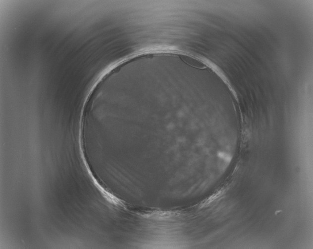 X0000056351245200509161753