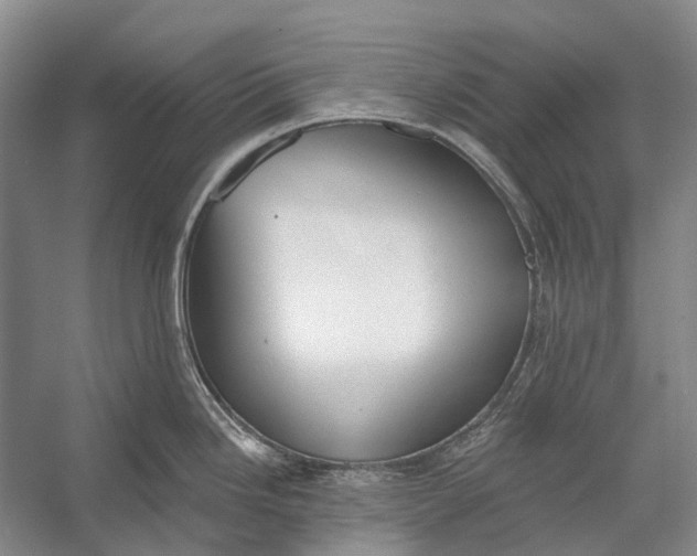 X0000056351246200509161753