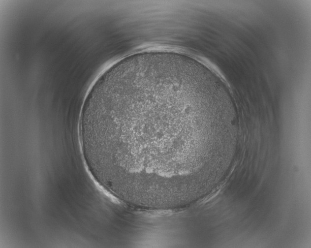 X0000056351247200509161753