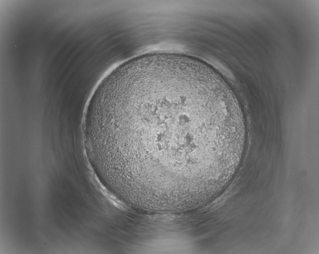 X0000056351248200509161753