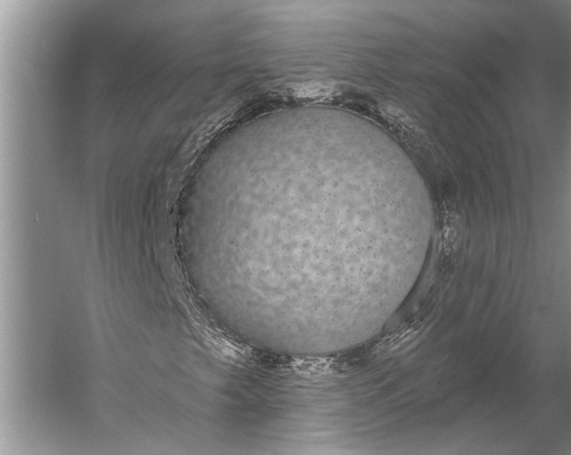 X0000056351249200509161753