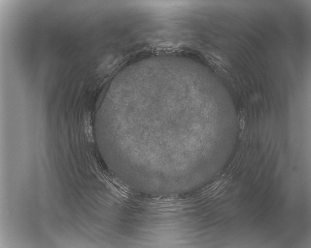 X0000056351252200509161753