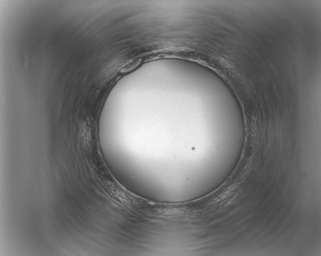 X0000056351257200509161753