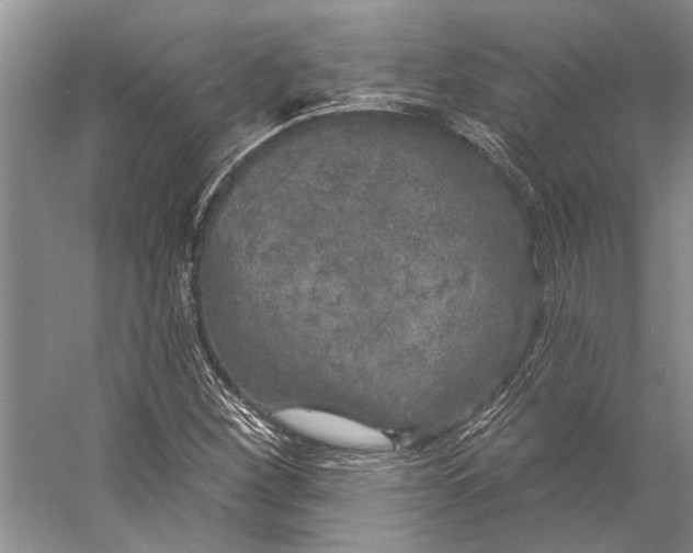 X0000056351260200509161752