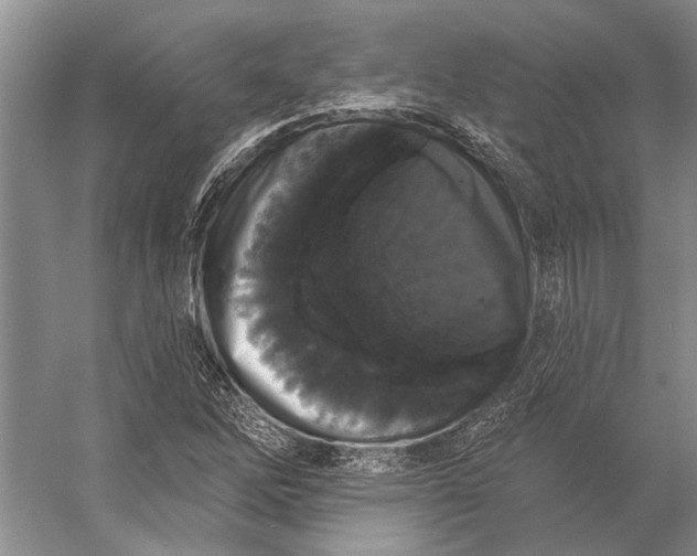 X0000056351262200509161752