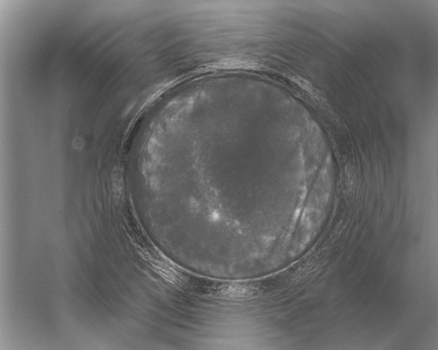 X0000056351266200509161752