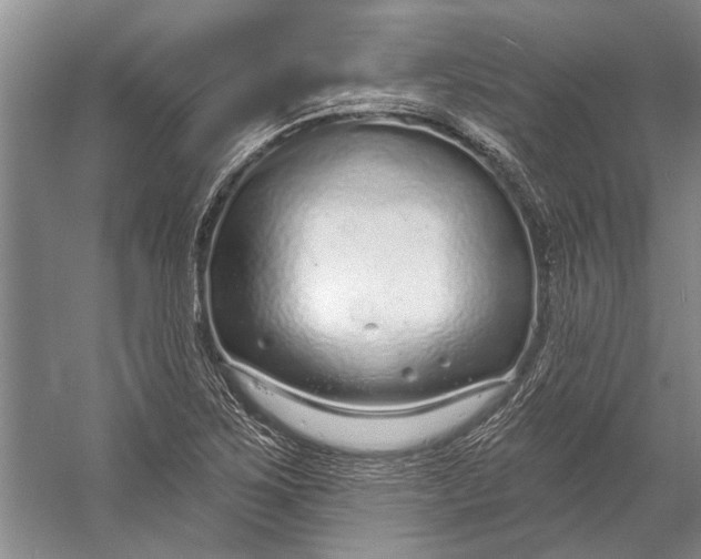 X0000056351267200509161752