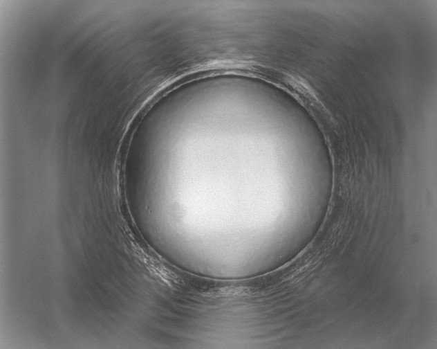 X0000056351268200509161752