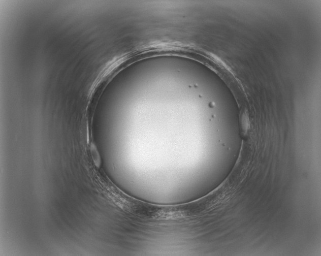 X0000056351269200509161752