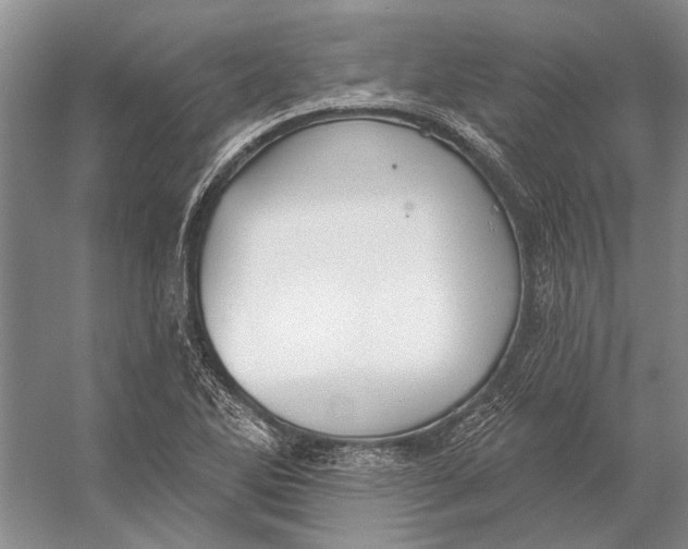 X0000056351270200509161752