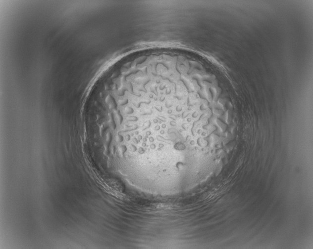 X0000056351271200509161752