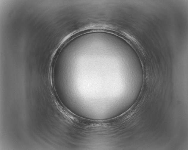 X0000056351272200509161752