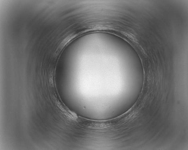 X0000056351273200509161752